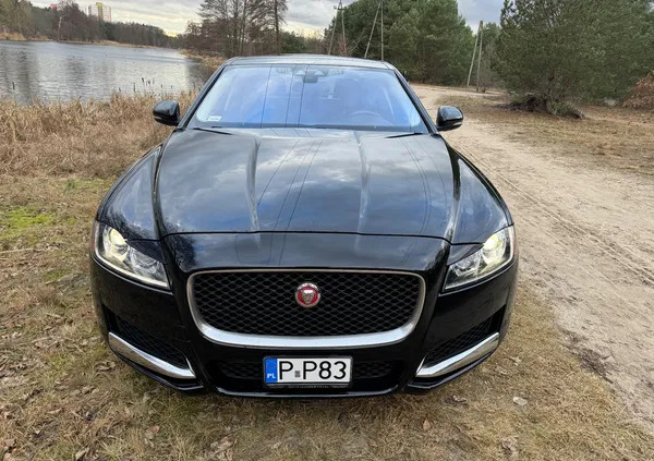 piła Jaguar XF cena 86900 przebieg: 112243, rok produkcji 2018 z Piła